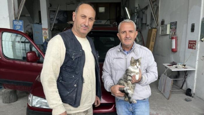 Sinop`ta kaportacı dükkanının kedisi ilgi odağı oldu