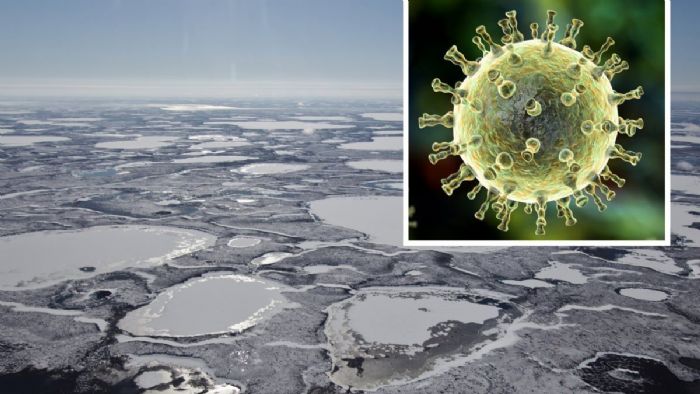 Bilim insanları uyardı: Ölümcül Faktör X virüsünün donmuş topraklardan ortaya çıkması çok yakın