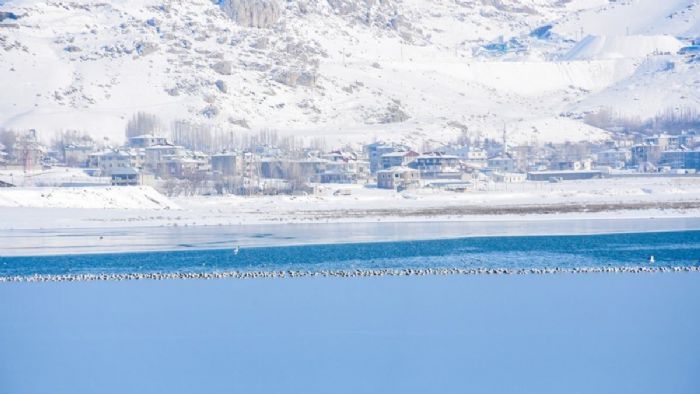 Van`da görülmeye değer manzara: Gölün üstü buz tuttu