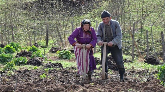 TZOB Başkanı Şemsi Bayraktar: Kırsal nüfusun oranı yüzde 23?e geriledi