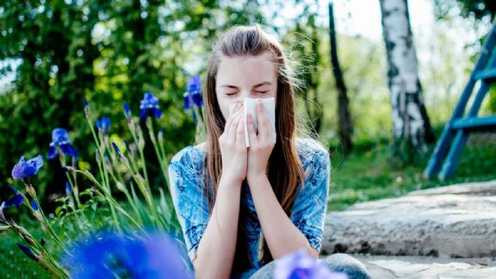 Bahar geldi, polen alerjisi kapıya dayandı: Ne yapılmalı?