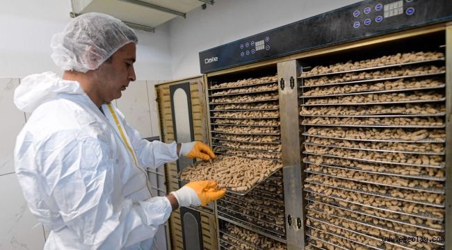 İzmir Büyükşehir Belediyesi can dostlar için mama üretiyor