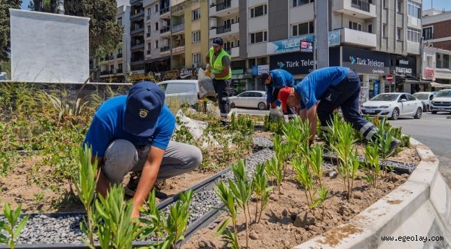 Daha az su daha fazla yeşil