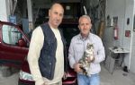 Sinop`ta kaportacı dükkanının kedisi ilgi odağı oldu