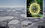 Bilim insanları uyardı: Ölümcül Faktör X virüsünün donmuş topraklardan ortaya çıkması çok yakın
