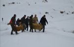Soğuk hava yaşam şartlarını zorladı! Muş, Varto`da yaban hayvanları için doğaya yem bırakıldı