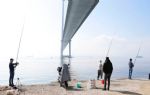 Osmangazi Köprüsü altında balıkçıların av keyfi