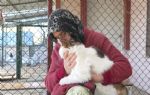 Ankara`da evinin bir katını sokak kedilerine yuva yaptı