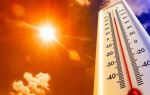 İklimler değişiyor: 2023 Avrupa`da kaydedilen en sıcak yıl oldu