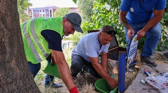 Buca Belediyesi?nden sokak hayvanlarına can suyu